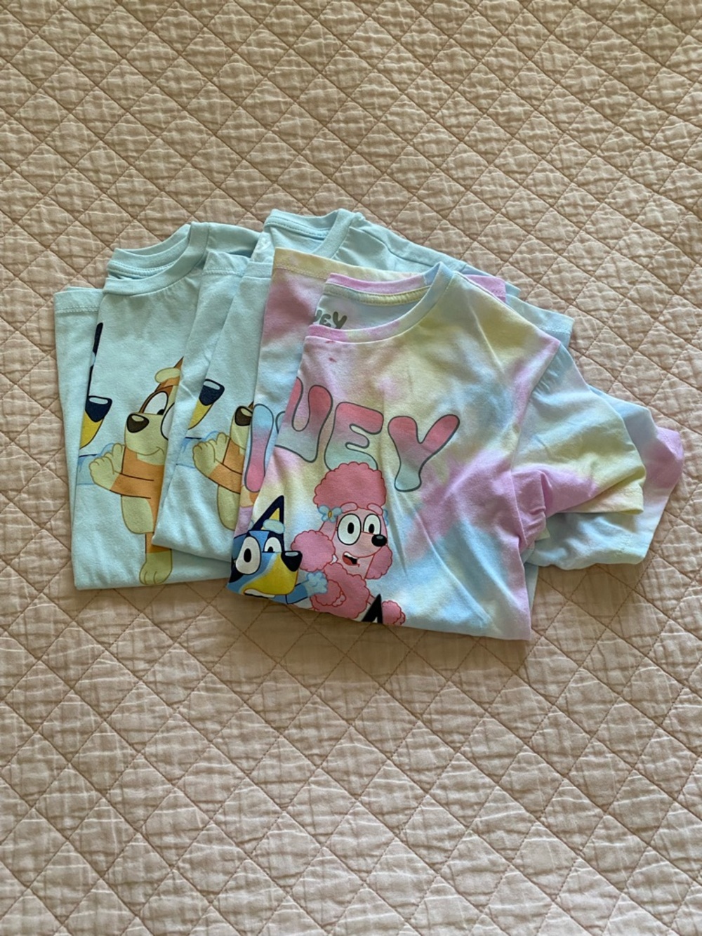 Bluey tees